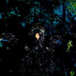 Image still from the film "Journey into a land otherwise known" - Image of a person wearing a bird costume, with all black feathers, standing in a forest, with arms spread like wings.